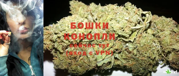 Альфа ПВП Горно-Алтайск