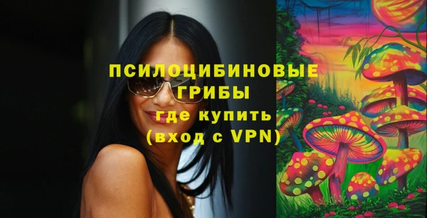 Альфа ПВП Горно-Алтайск