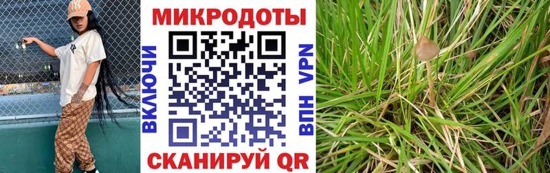 Псилоцибиновые грибы Cubensis  как найти закладки  кракен tor  Далматово 