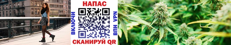 Марихуана Amnesia  Далматово 